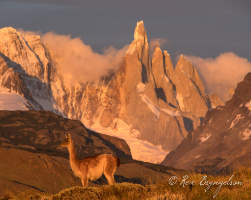 Patagonia in Springtime - Image 4